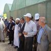 پروژه های عمرانی استان کرمانشاه با تسهیلات صندوق توسعه ملی افتتاح شد