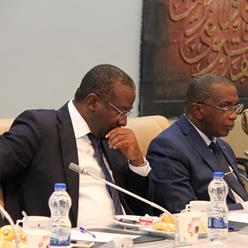 نشست معاون سرمایه گذاری خارجی صندوق توسعه ملی با هیات اقتصادی کشورهای غرب آفریقا