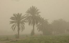 تسنیم- رئیس سازمان حفاظت محیط زیست گفت: برای مهار گرد و غبار در استان خوزستان، ۳۵۰ میلیون هکتار از منابع صندوق توسعه ملی هزینه و خوشبختانه تقریبا همه مناطق غبارخیز این استان مهار شده است.