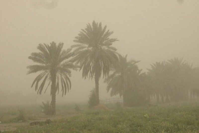 تسنیم- رئیس سازمان حفاظت محیط زیست گفت: برای مهار گرد و غبار در استان خوزستان، ۳۵۰ میلیون هکتار از منابع صندوق توسعه ملی هزینه و خوشبختانه تقریبا همه مناطق غبارخیز این استان مهار شده است.